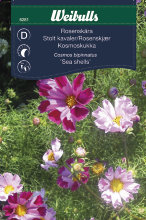 Pyntekorg ´Sea shells` - Rosenskjær